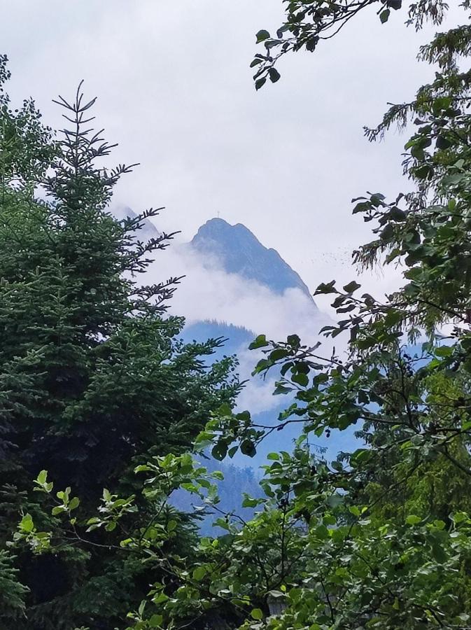 Pokoje Goscinne "Tecza" Zakopane Eksteriør billede