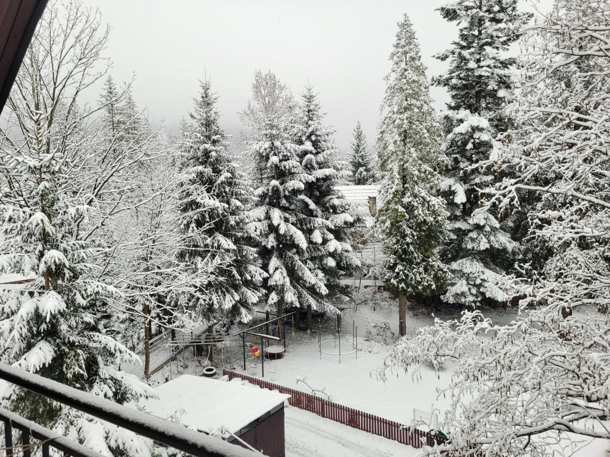 Pokoje Goscinne "Tecza" Zakopane Eksteriør billede