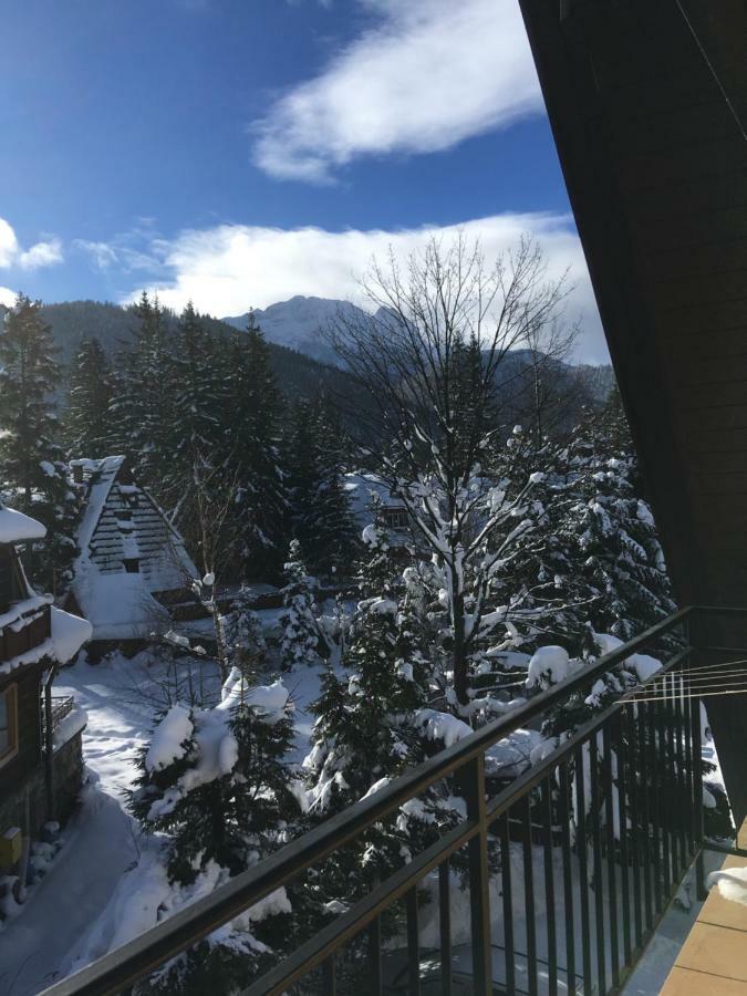 Pokoje Goscinne "Tecza" Zakopane Eksteriør billede
